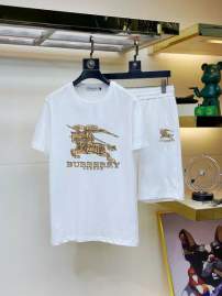 Picture of Burberry Shirt Pant Suits _SKUBurberryM-5XL13gn19520609